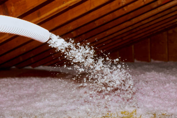 Best Best Insulation Companies  in Higginsville, MO