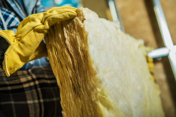 Best Attic Insulation Near Me  in Higginsville, MO