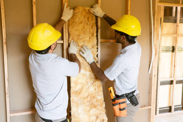 Best Cellulose Insulation  in Higginsville, MO