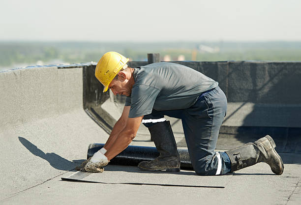 Best Spray Foam Insulation  in Higginsville, MO