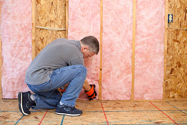 Best Spray Foam Insulation  in Higginsville, MO