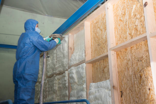 Best Insulation Replacement Services  in Higginsville, MO