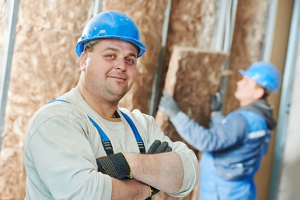 Best Insulation Repair Services  in Higginsville, MO