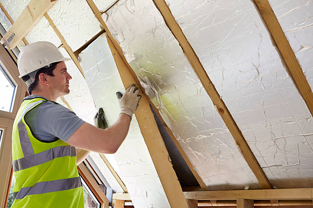 Best Professional Insulation Contractor  in Higginsville, MO
