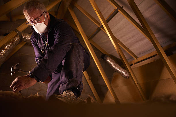 Best Insulation Removal  in Higginsville, MO